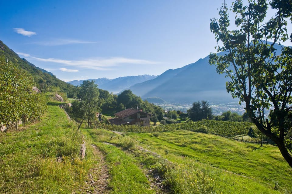 Agriturismo Ruc del Lac Farm Stay in Province of Brescia