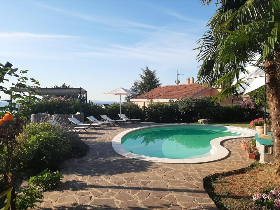 Swimming pool, Swimming pool
