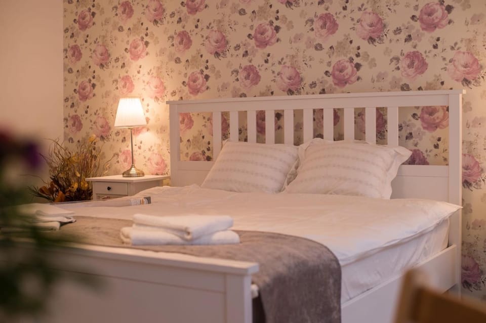 Casa Witting Apartment in Brasov
