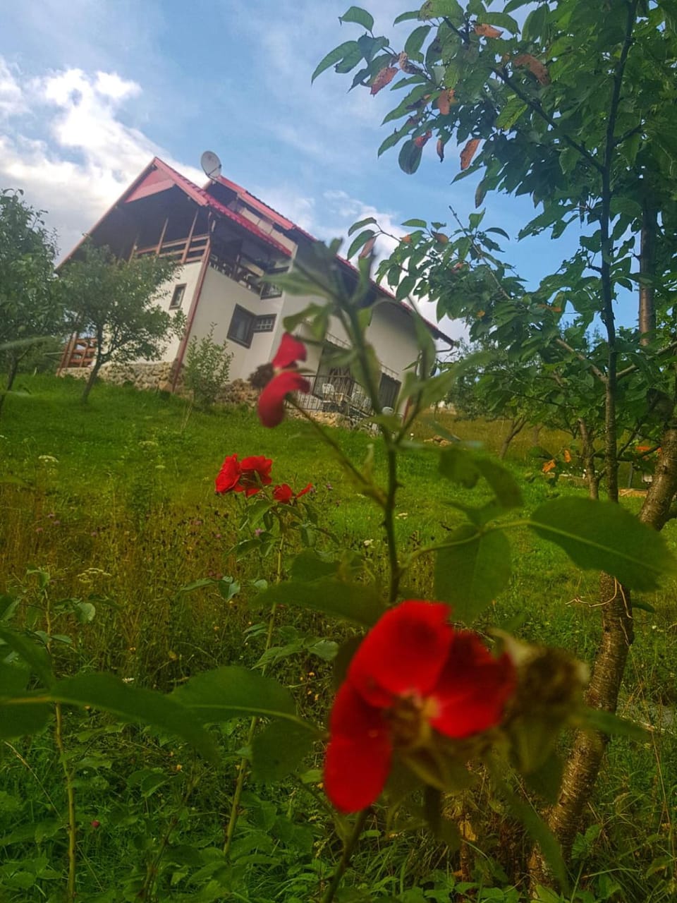 Casa Roman House in Romania