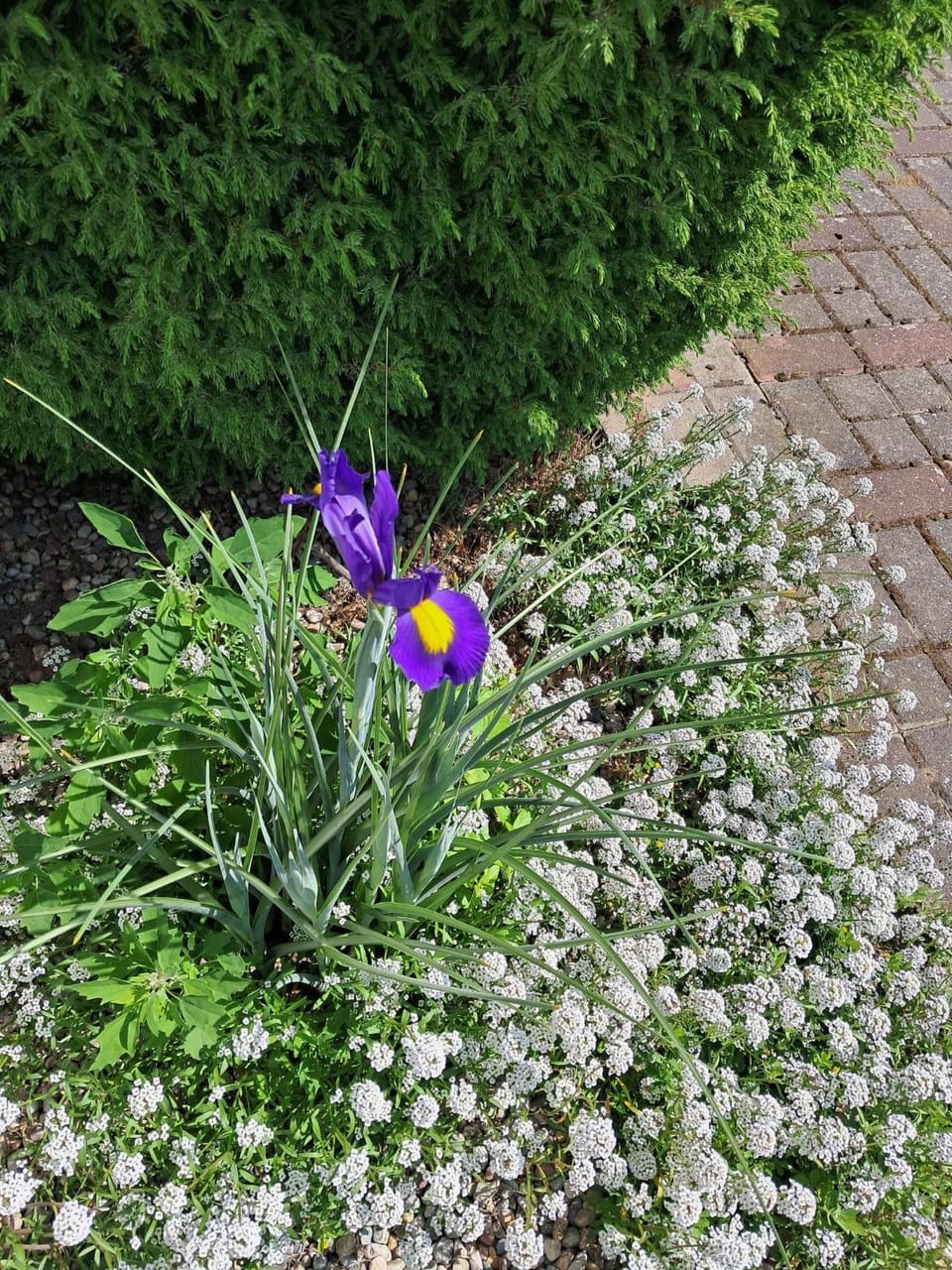 Dom Wczasowy Oliwia Campground/ 
RV Resort in West Pomeranian Voivodeship, Poland