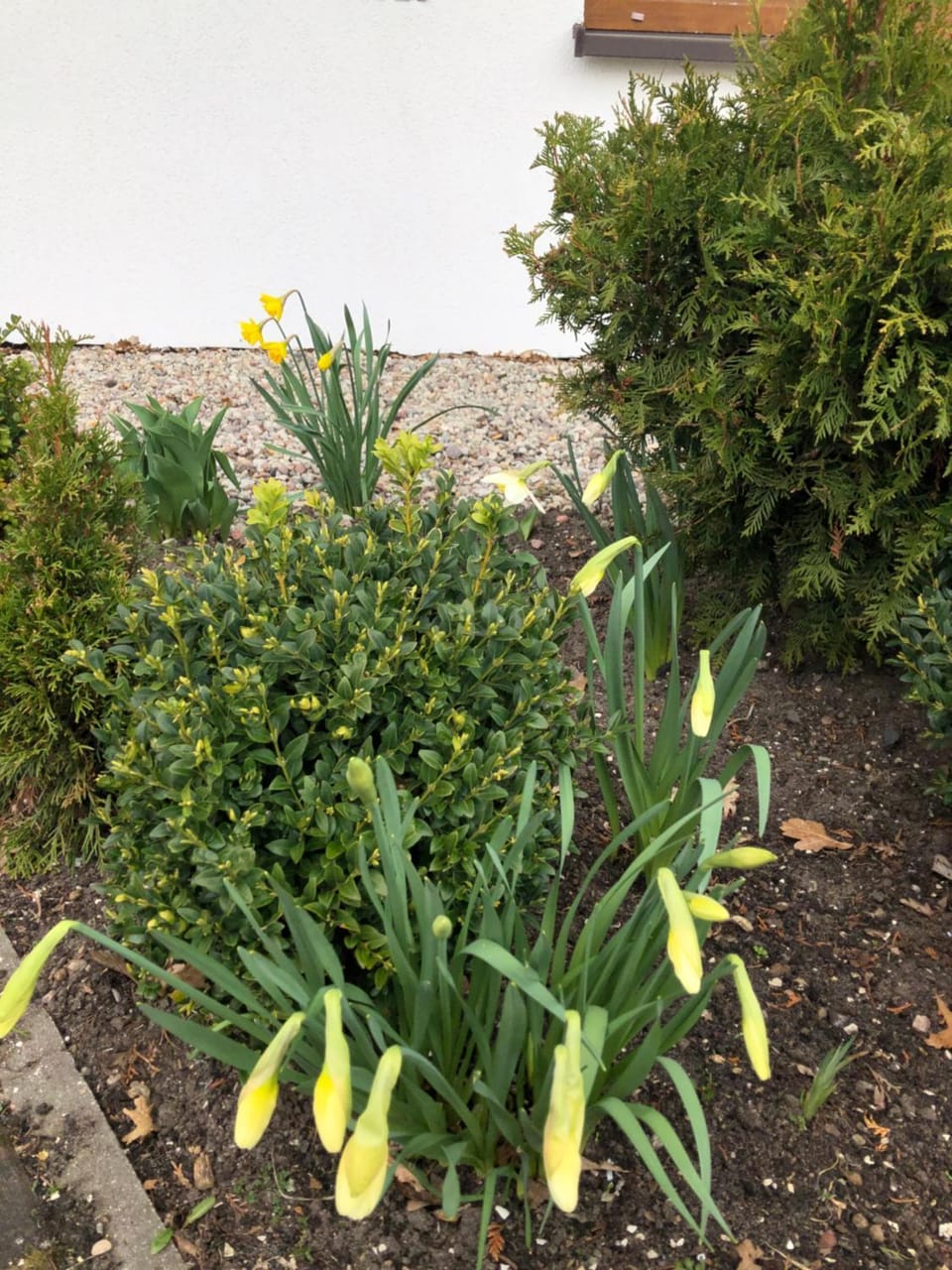 Natural landscape, Garden, Hiking, Garden view