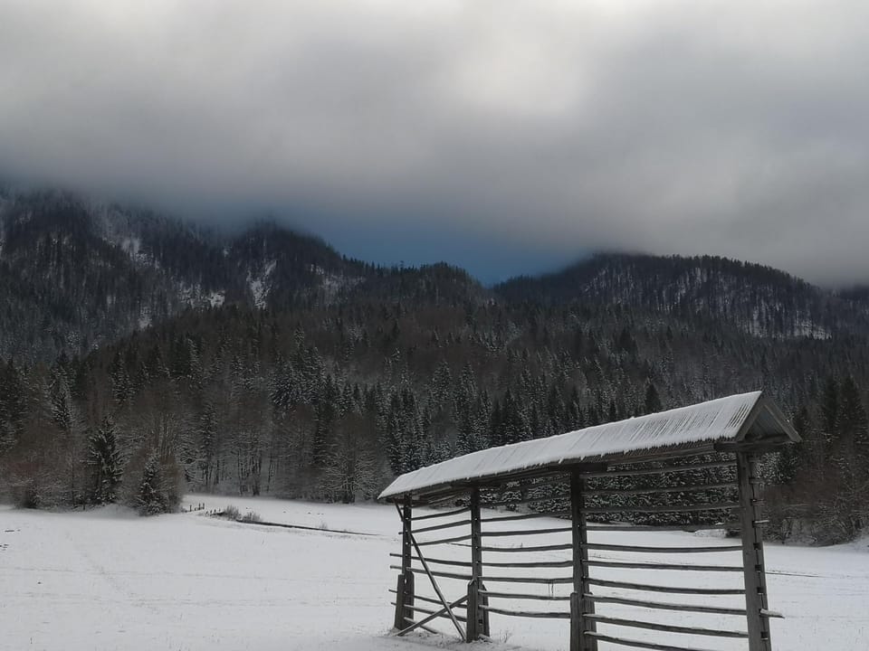 Apartmaji Volf Apartment in Bled