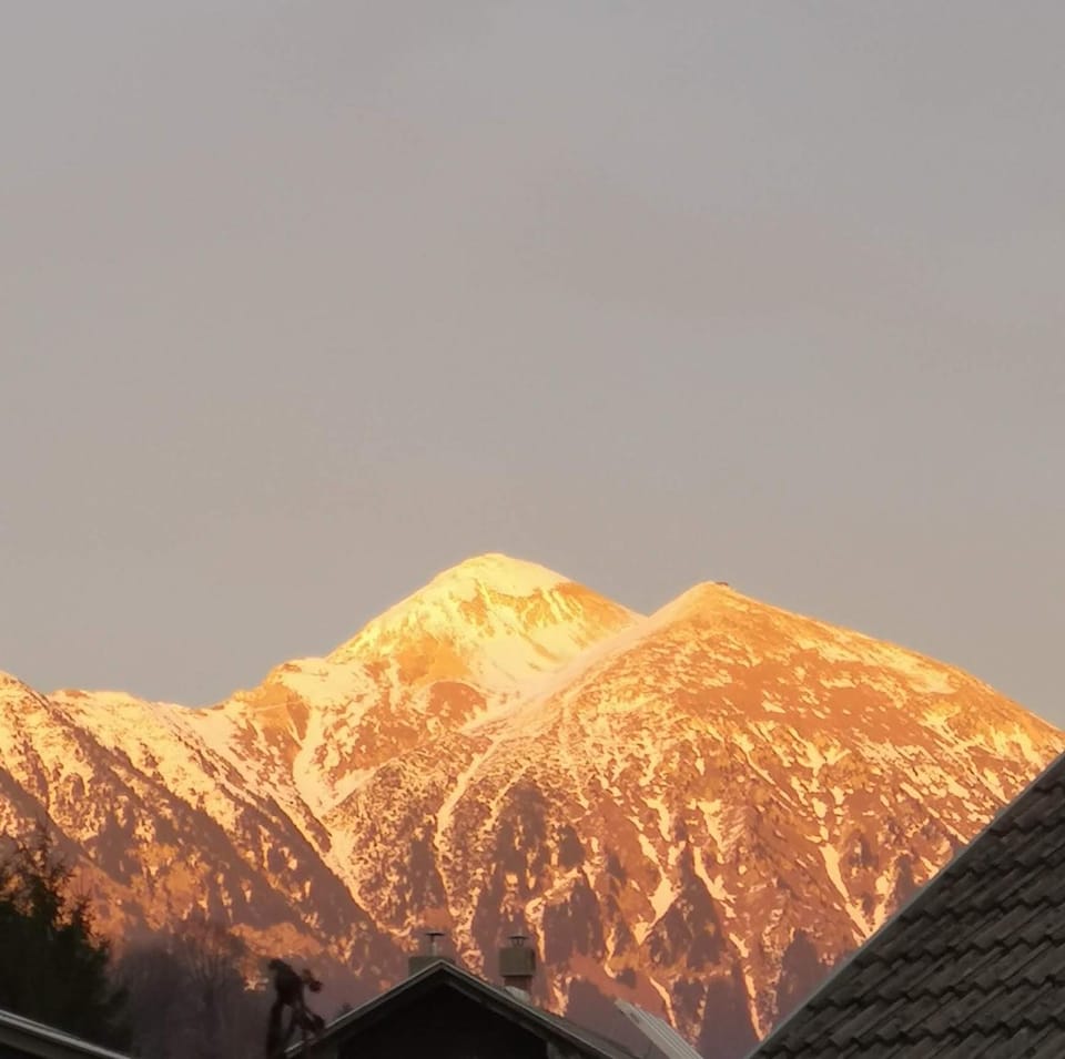 Apartmaji Volf Apartment in Bled