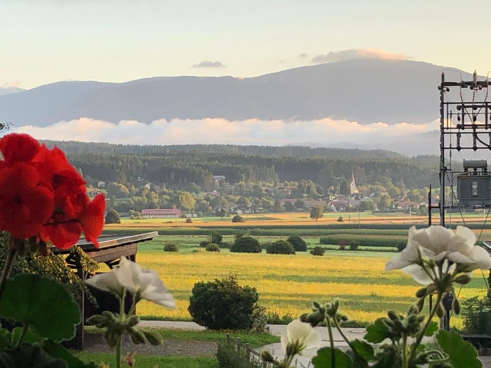 Haus Sonja Vacation rental in Friuli-Venezia Giulia