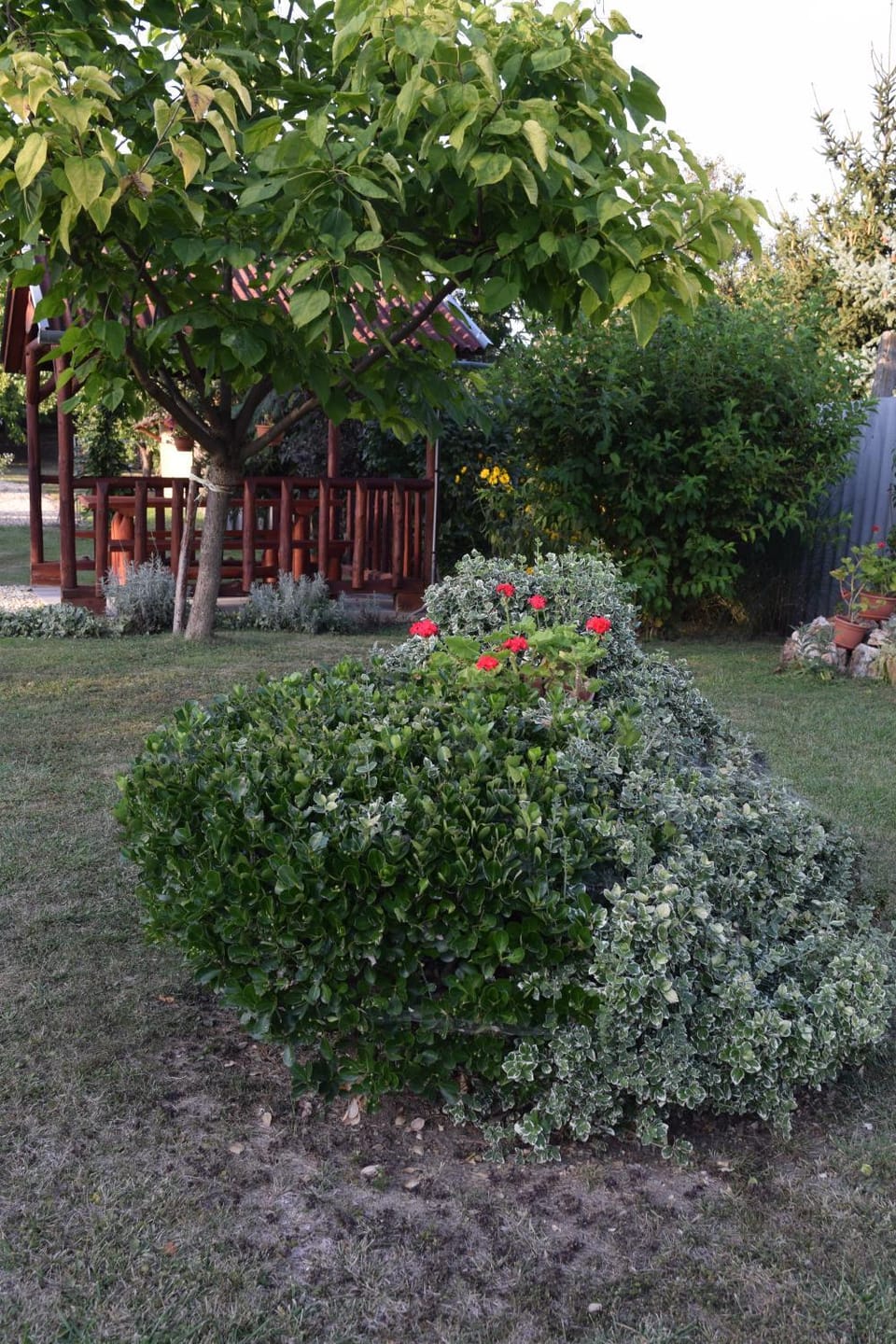 Garden view