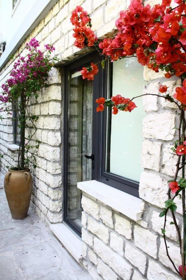 Patio, Facade/entrance, Garden