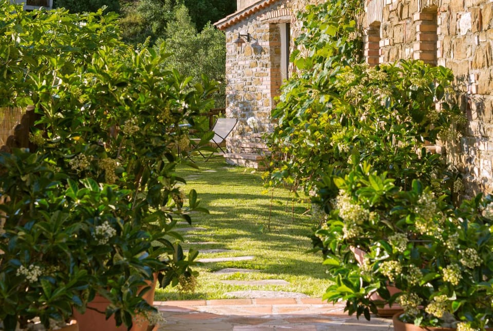Facade/entrance, Garden view