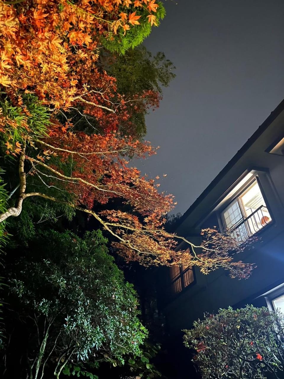 Natural landscape, Autumn
