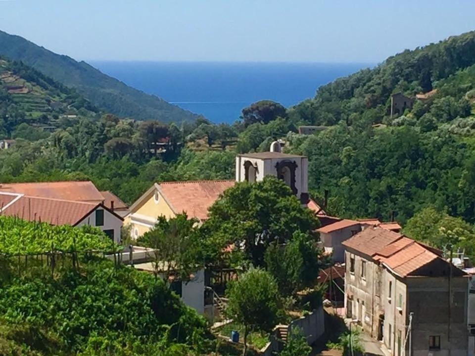 Natural landscape, Sea view