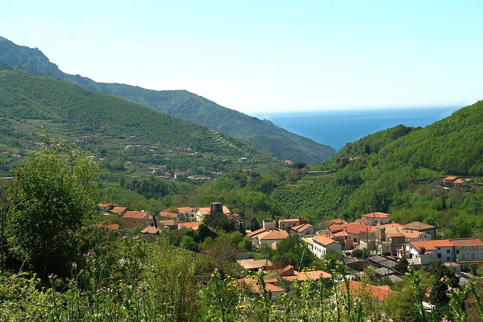 Natural landscape, City view