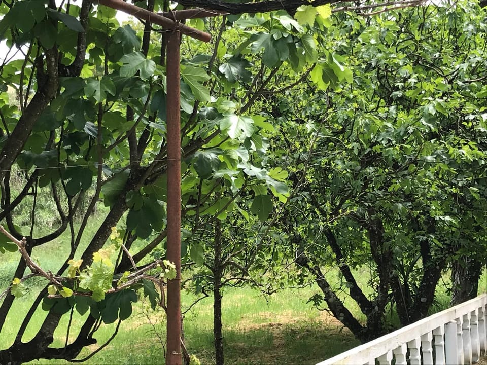 GEORGE'S HOUSE Apartment in Peloponnese, Western Greece and the Ionian
