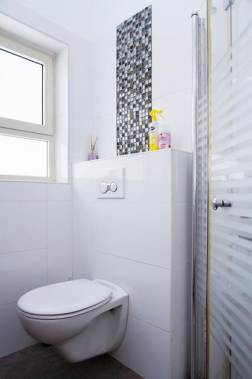 Shower, Toilet