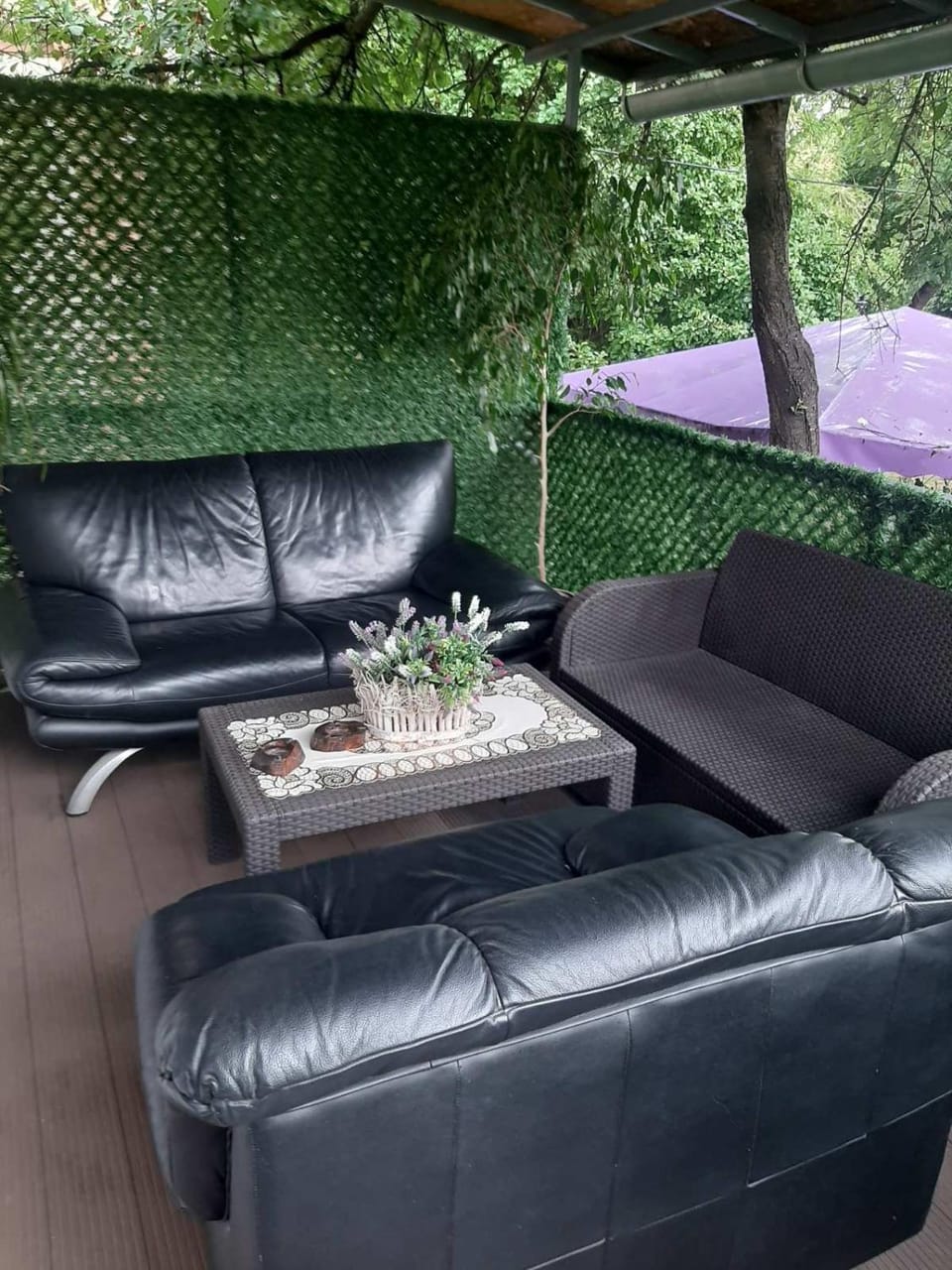 Patio, Seating area, Garden view