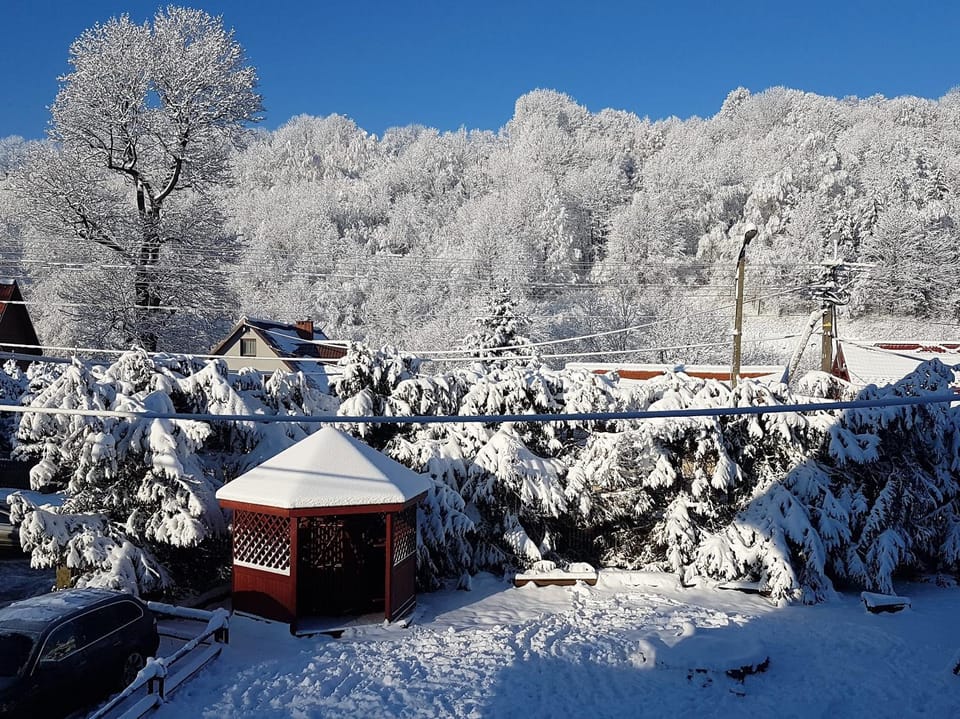 Neighbourhood, Winter, Area and facilities