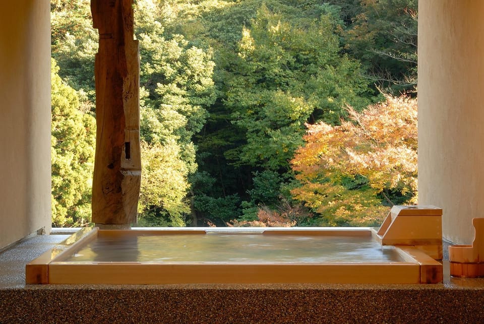 Hot Spring Bath, View (from property/room), Mountain view