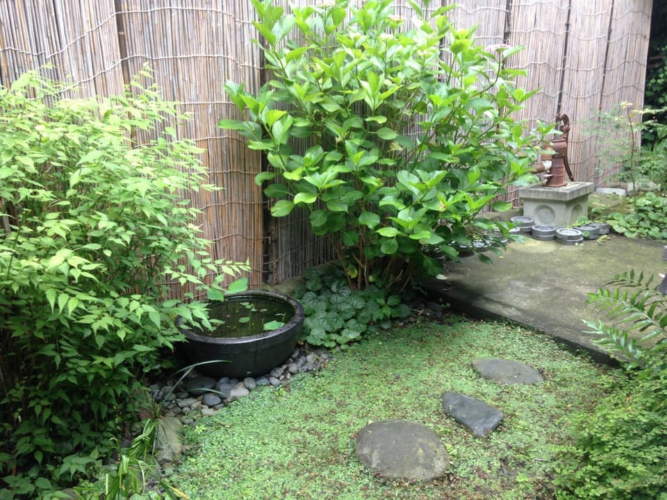 Garden view