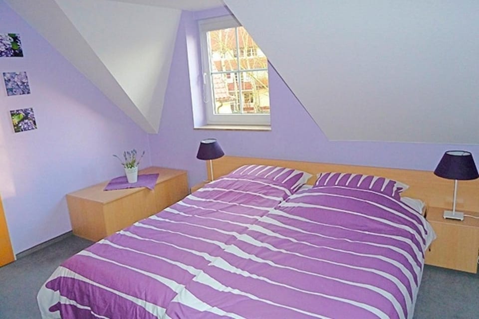 Am Deich 44 House in Zingst