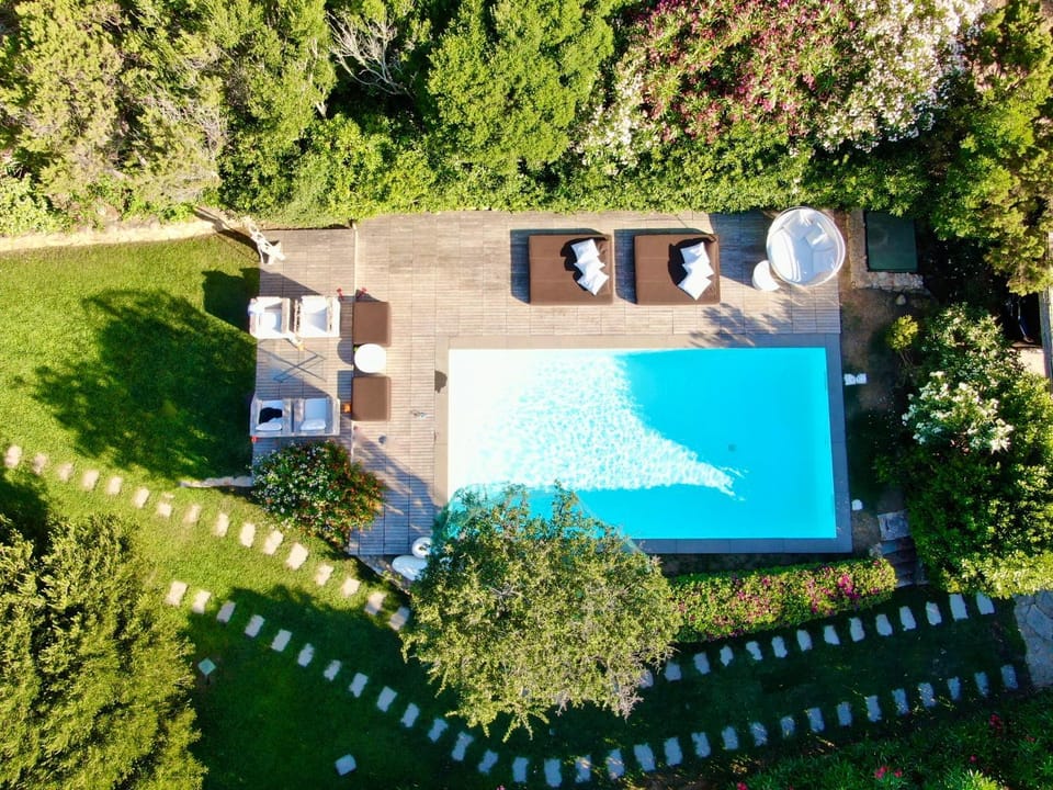 Bird's eye view, Garden, Garden, Pool view, Swimming pool