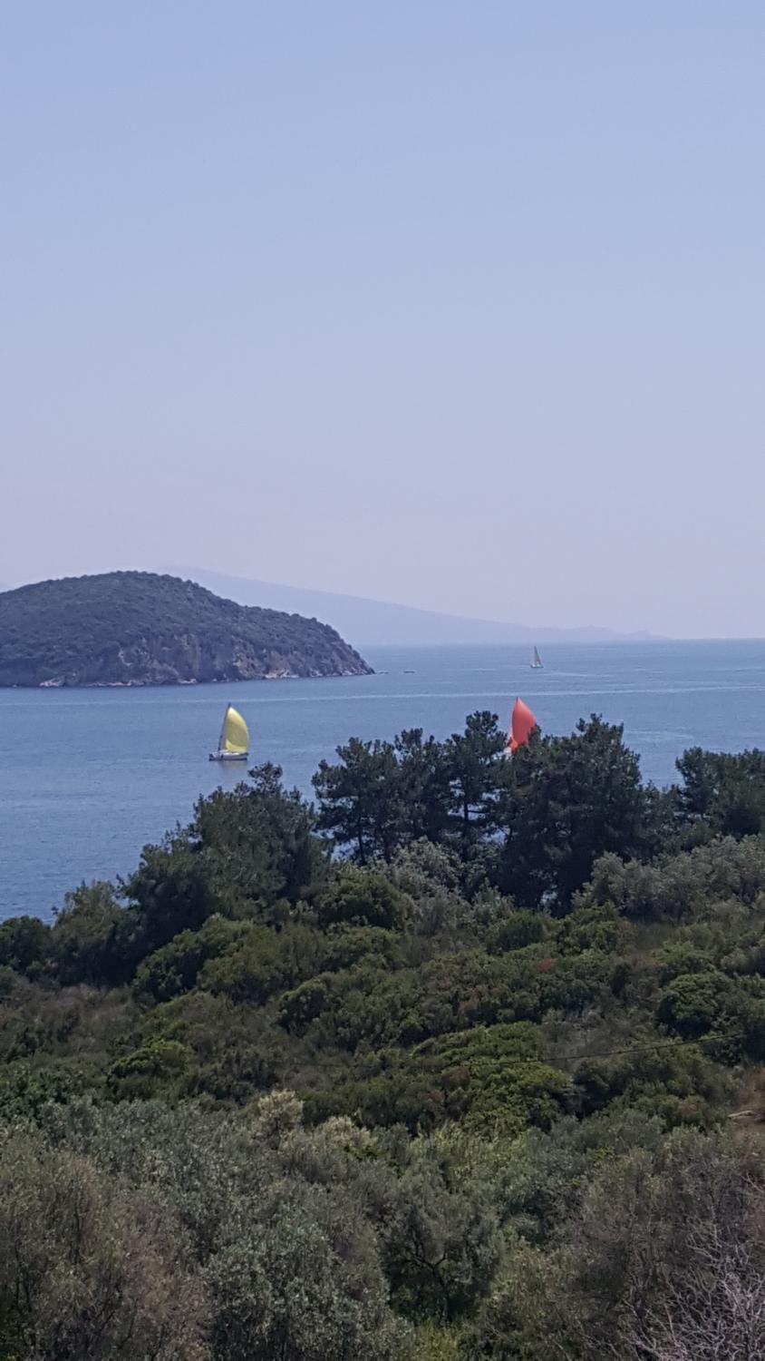 Summer, Sea view, Sea view