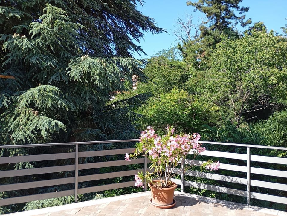 Natural landscape, Garden view