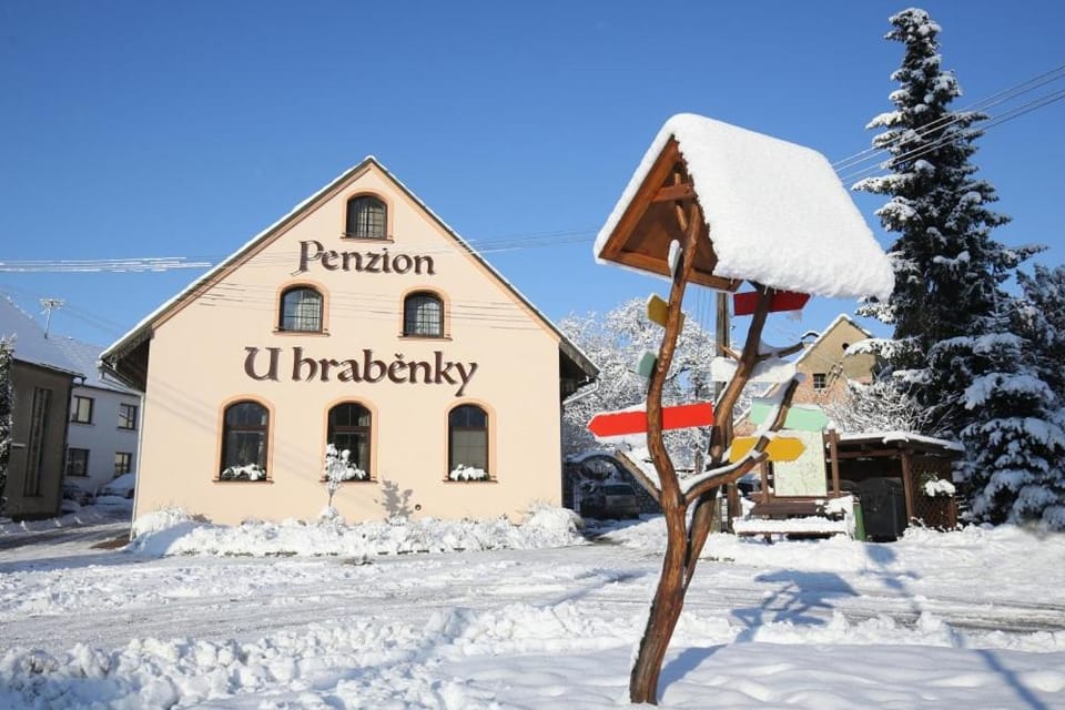 Penzion U Hraběnky Bed and Breakfast in South Moravian Region