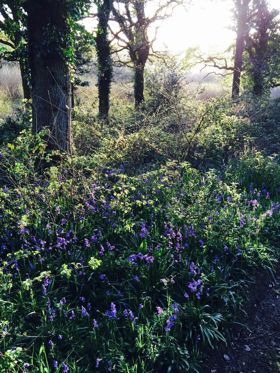 Spring, Day