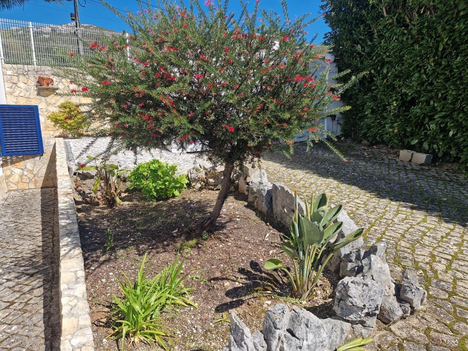 Casa dos Imos House in Santarém District, Portugal