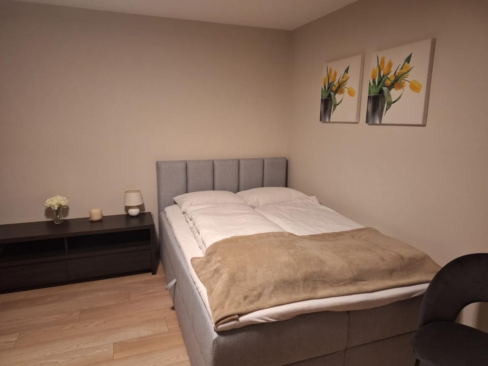 Apartamenty "Kotlina" Apartment in Lower Silesian Voivodeship