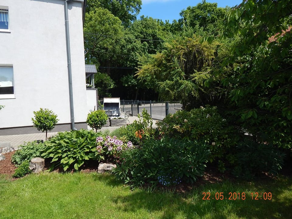 Property building, Natural landscape, Garden