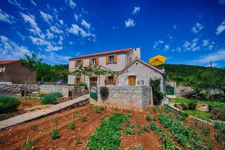 Property building, Day, Natural landscape, Garden, Garden view