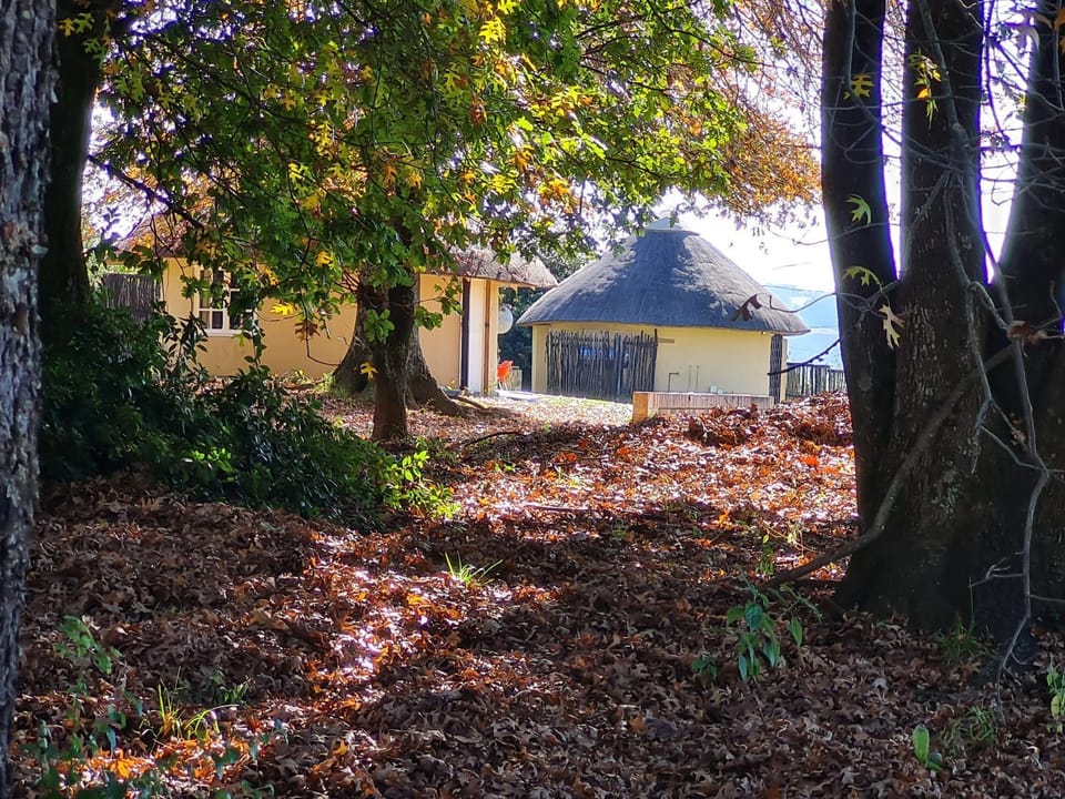 Property building, Garden, Garden view