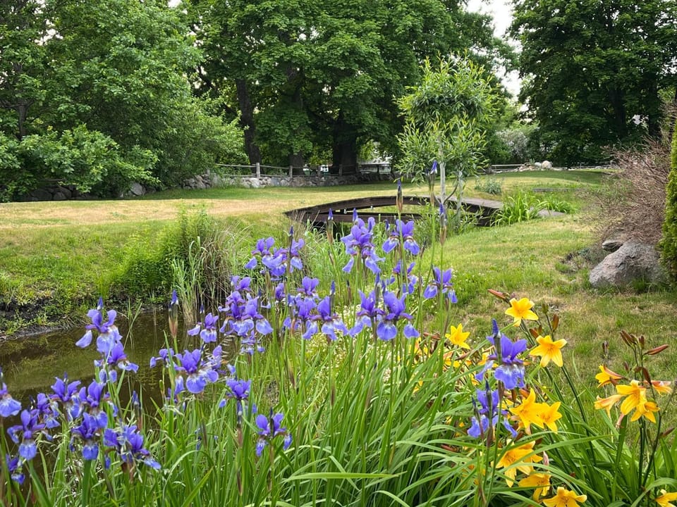 Garden view