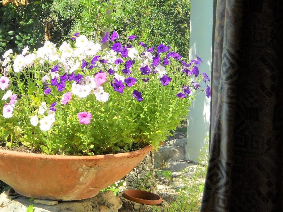 Garden, Garden view