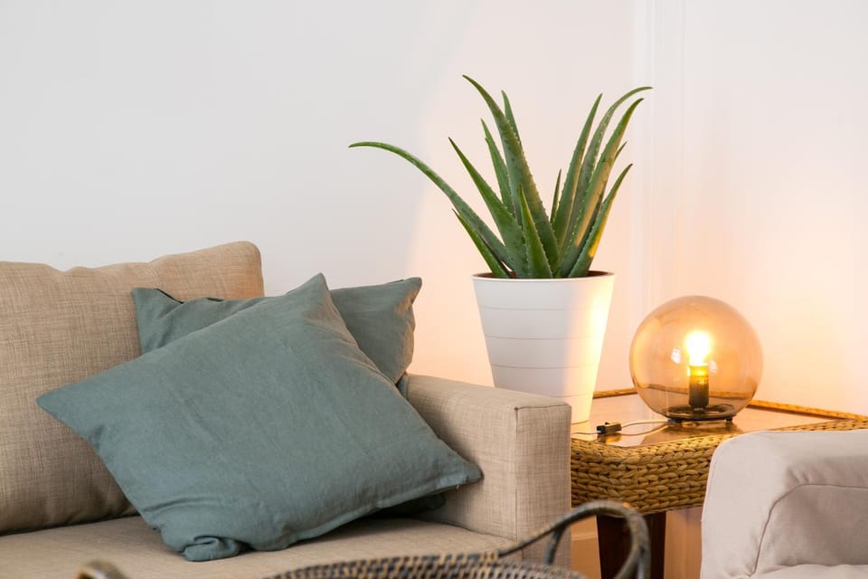 Caraujo Apartments Apartment in Lisbon