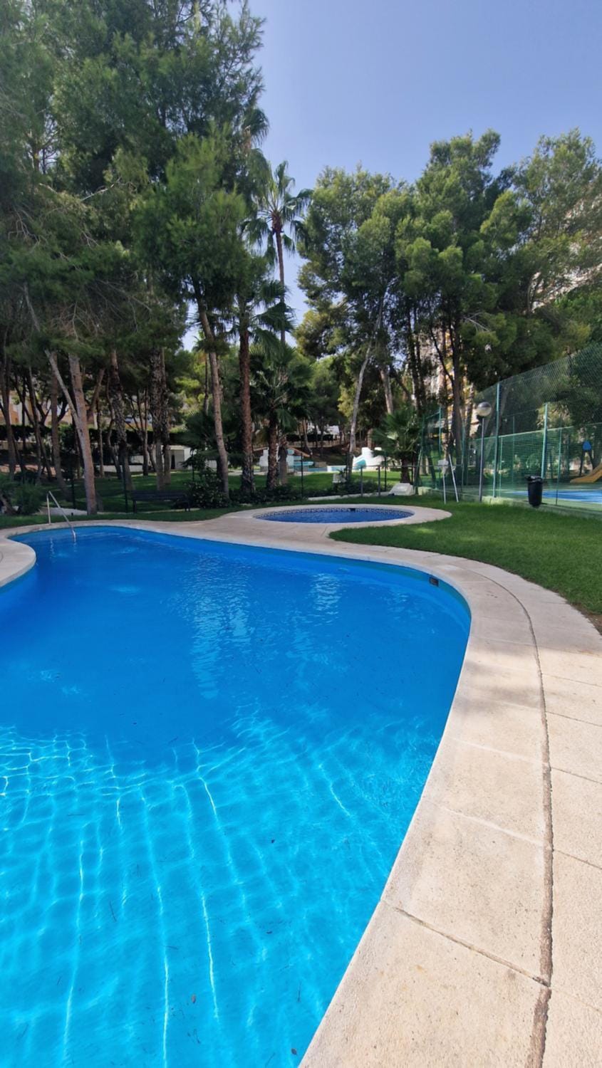 Garden, Swimming pool
