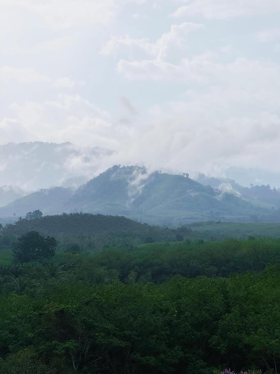 Phang Nga Viewpoint Bed and Breakfast in Phang-nga Changwat