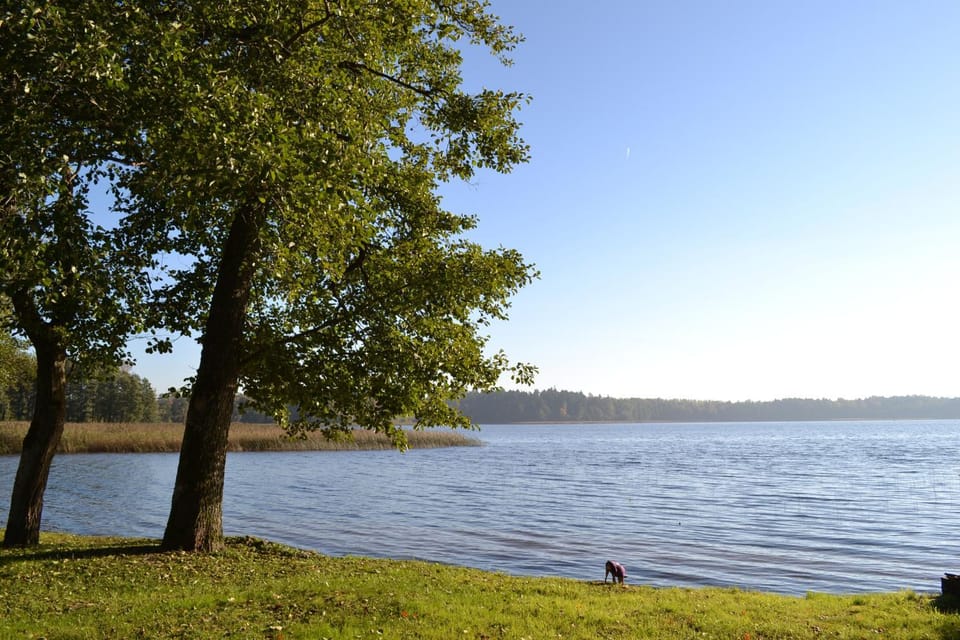 Natural landscape, Garden, View (from property/room), Lake view