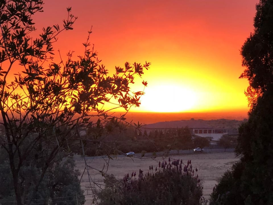 View (from property/room), Sunset