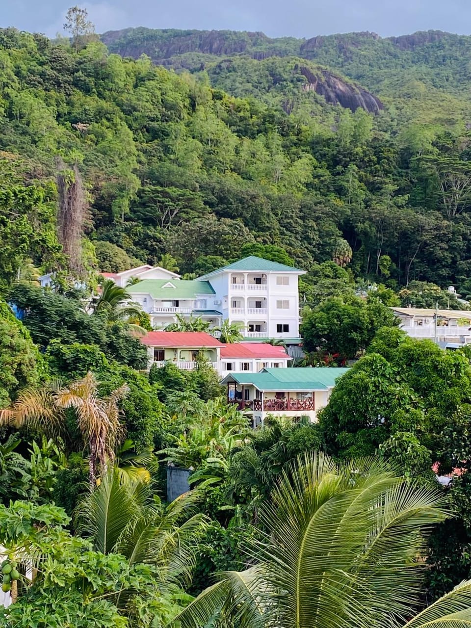 Property building, Day, Natural landscape