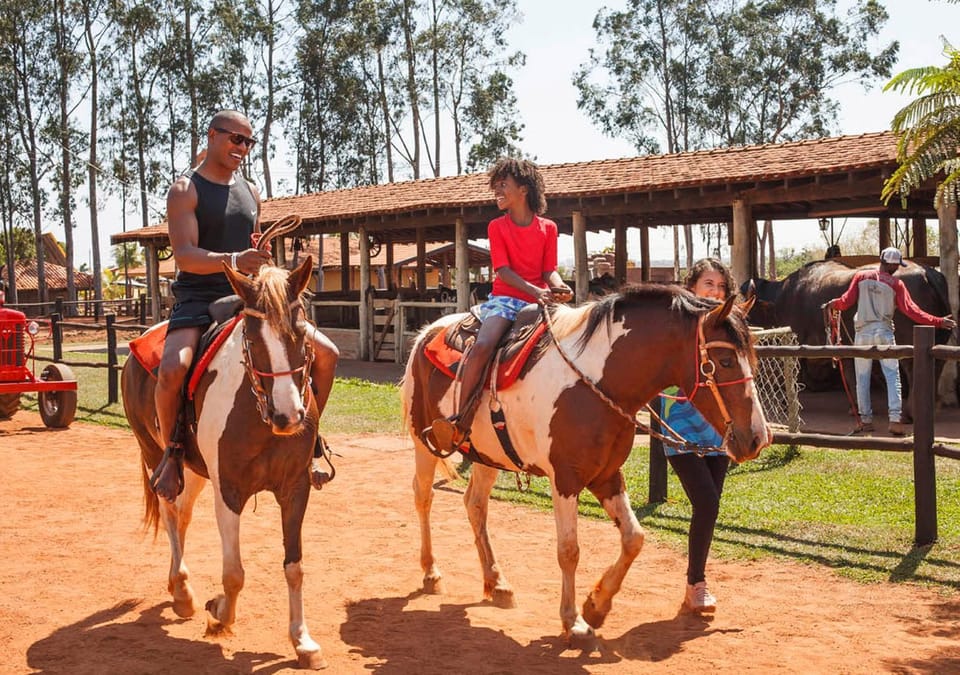 People, Activities, Horse-riding, Animals, children