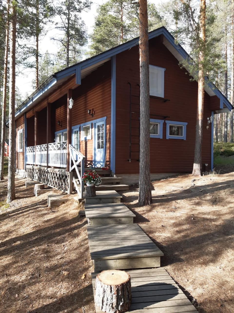 Property building, Day
