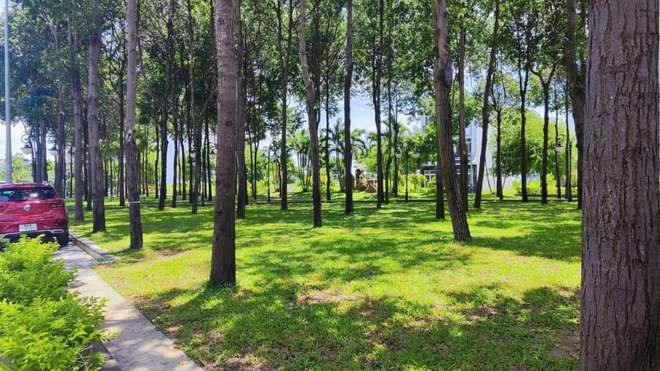 Day, Natural landscape, Garden, Garden view