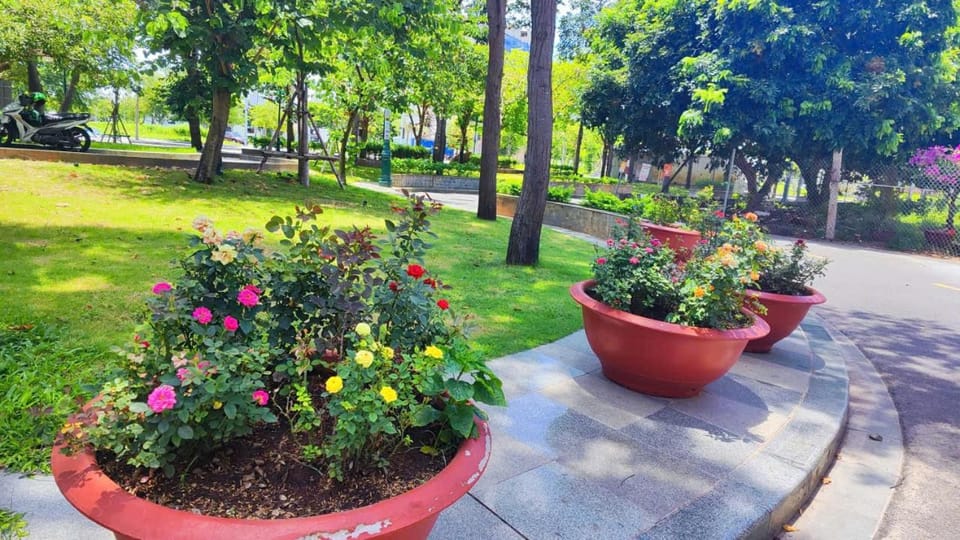 Day, Natural landscape, Garden, Garden view