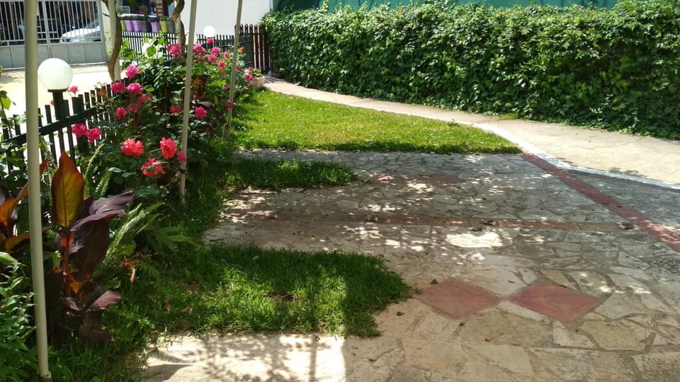 Garden, Area and facilities
