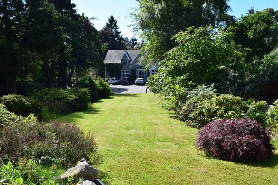 Property building, Garden, Garden