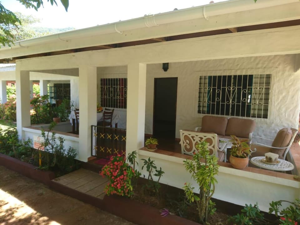 Patio, Balcony/Terrace