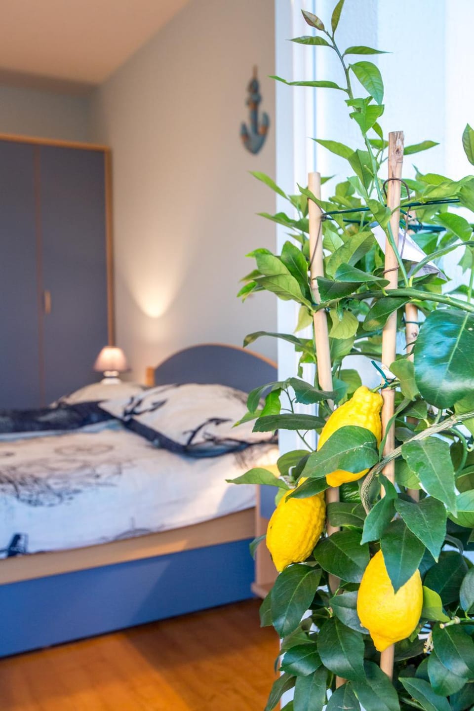 Apartments Peric Apartment in Primorje-Gorski Kotar County