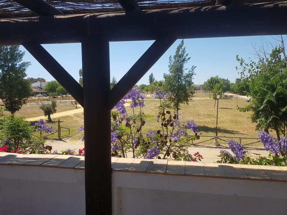 Lince Casa Rural Country House in Costa de la Luz