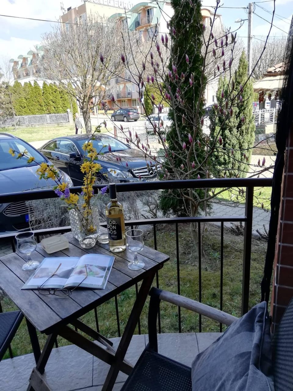 Balcony/Terrace, Garden view